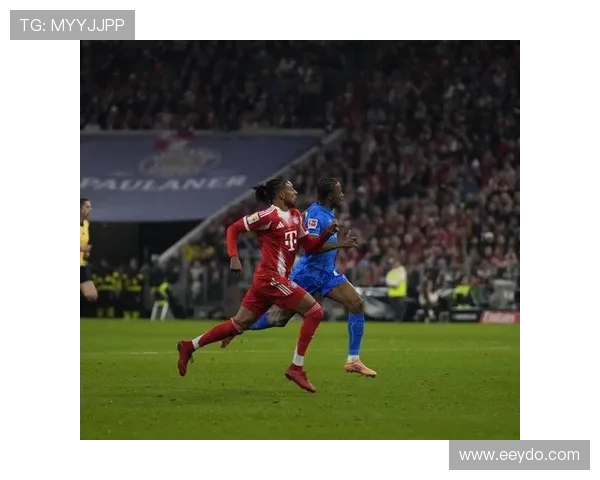 维蒂尼亚：与拜仁的对决必将火爆 凯恩的进球数据令人震惊